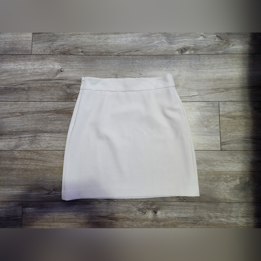 Aritzia Babaton skirt